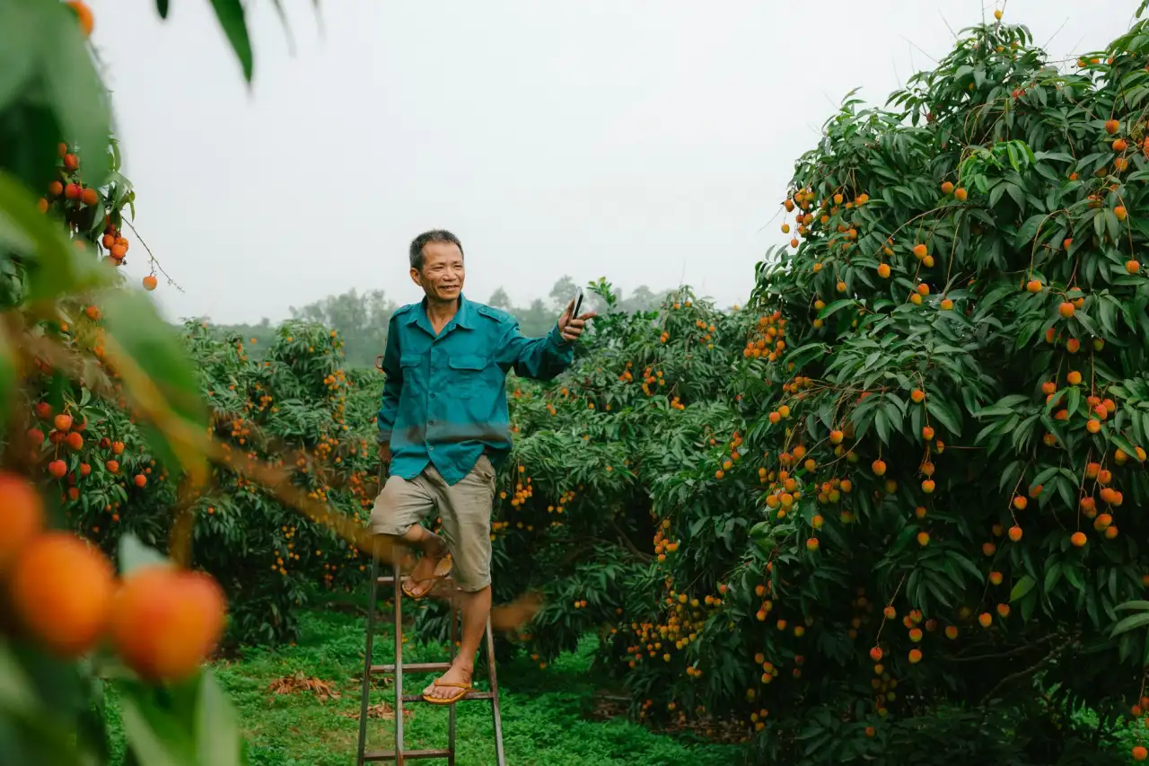 海南企业合同管理软件光盘技术架构与运行环境解析