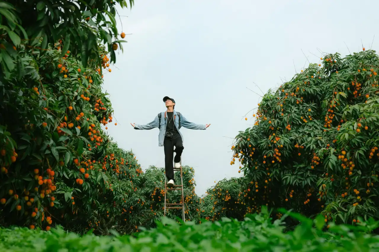 证照与档案管理软件在中小企业中的实施要点与效益评估
