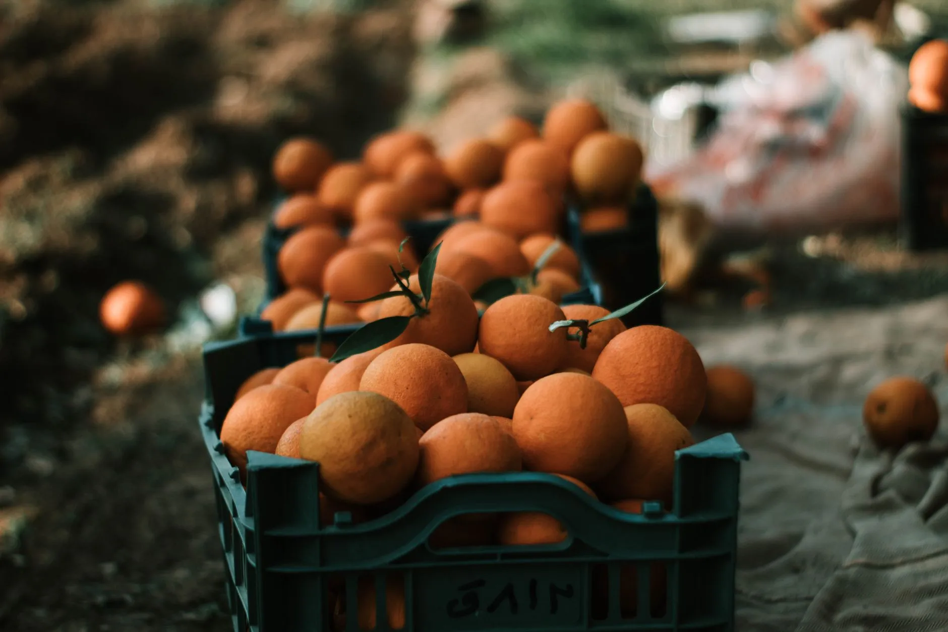 印章管理软件与档案管理软件集成方案设计